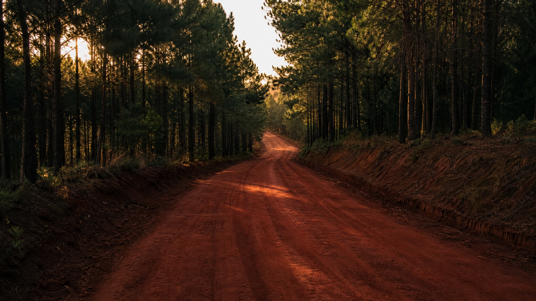 Estrada de terra batida